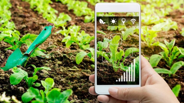 Conteúdo Estratégico para o Agronegócio