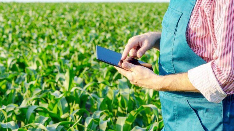 Marketing Digital no Agro: Estratégias que Conectam e Transformam